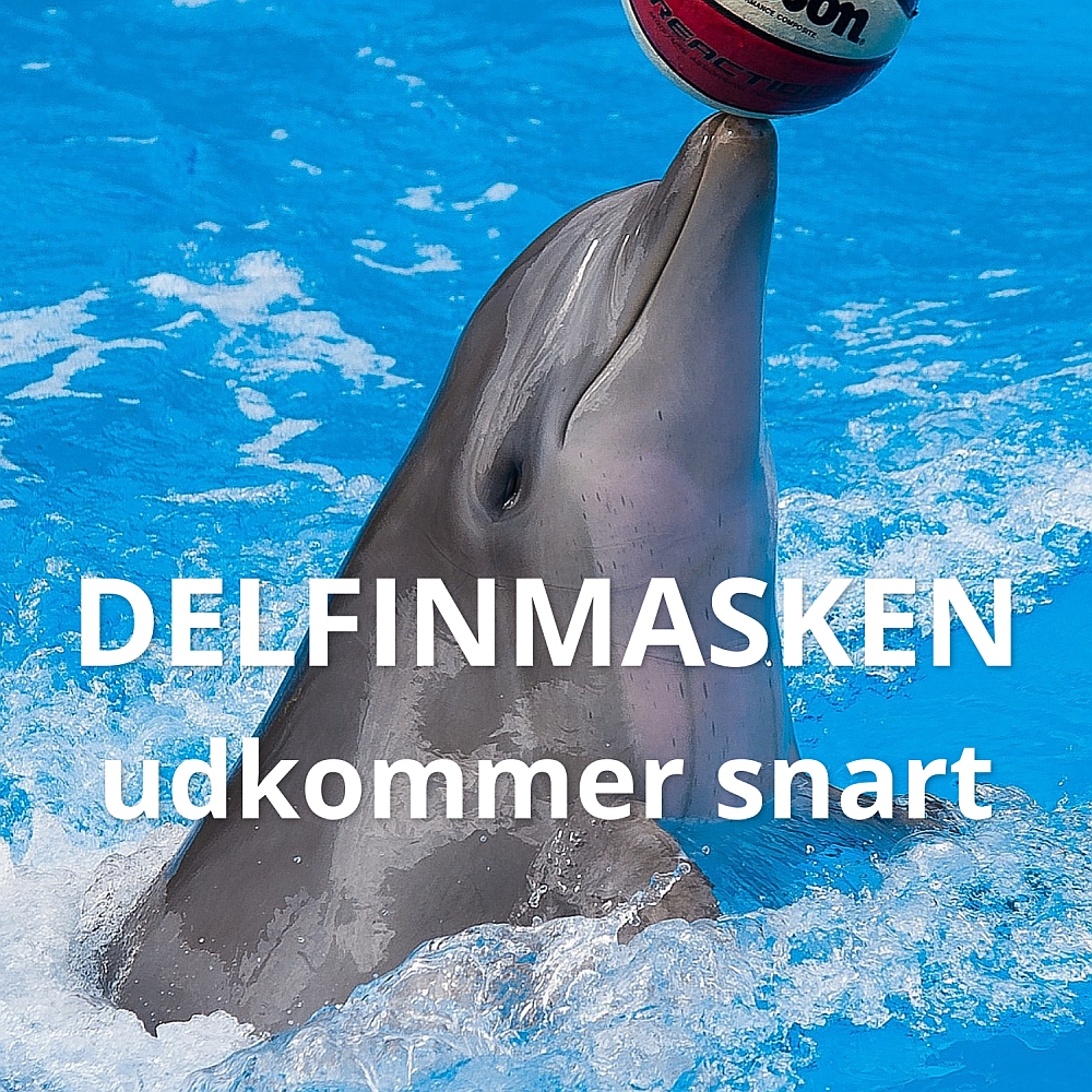 Delfinmasken udkommer snart
